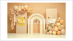 ELEGANT SWAN PASTEL ARCH THEME SETUP FOR KIDS PHOTOGRAPHY
