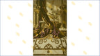 ROYAL MARBLE PALACE SETUP WITH DRAPES AND PEARL DECOR BACKDROP FOR BOUTIQUE & LUXURY PHOTOGRAPHY